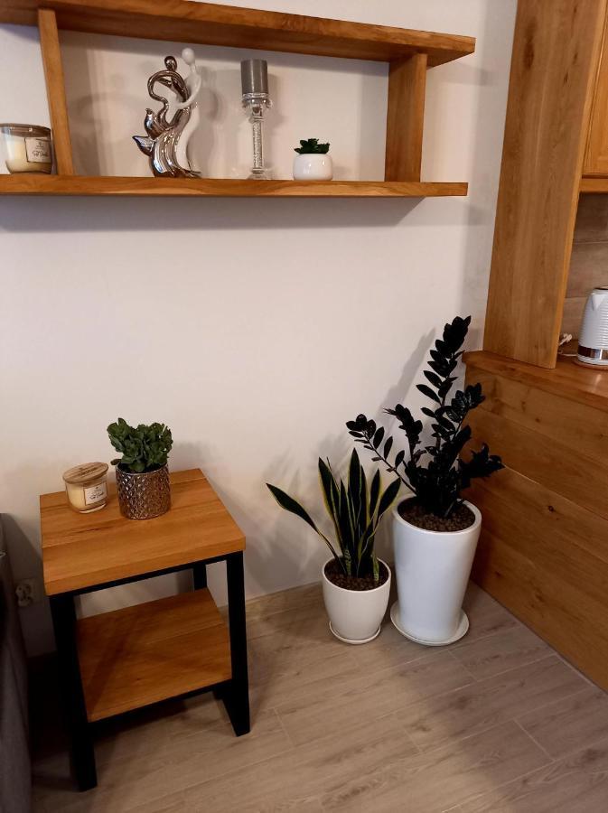 Apartament Green Park Starogard Gdański المظهر الخارجي الصورة